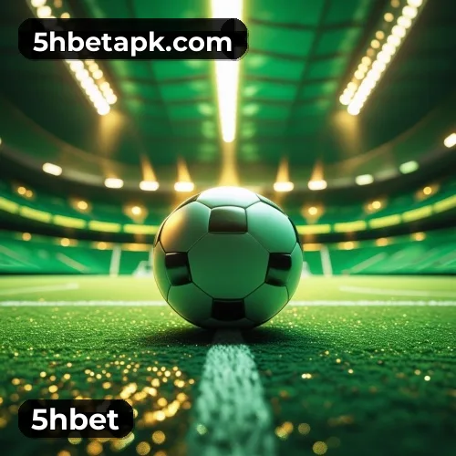 Suporte VIP 5hbet